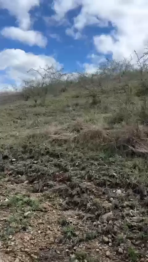 VID-20250420-WA0018