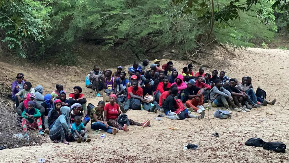 HAITIANOS ZONA BOSCOSA