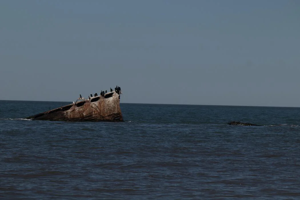 beautiful-concrete-ship-in-the-ocean-with-so-many-shorebirds-on-top-this-sunken-ship-is-a-trademark-of-sunset-beach-in-cape-may-new-jersey-double-crested-cormorants-are-resting-on-it-photo