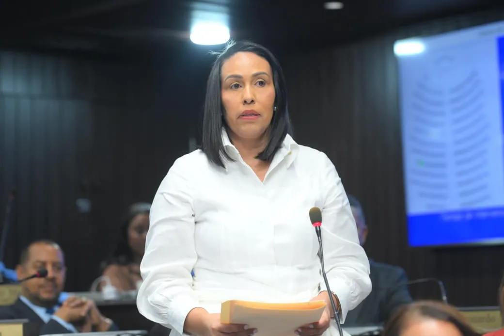 DIPUTADA LA VEGA