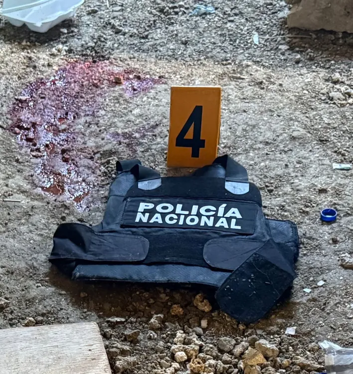 IMG-20260207-WA0004(1)