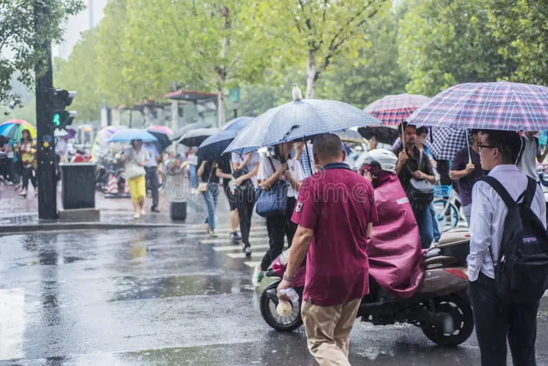 una-lluvia-por-la-mañana-gente-que-iba-trabajar-cruzó-intersección-con-un-paraguas-126871581