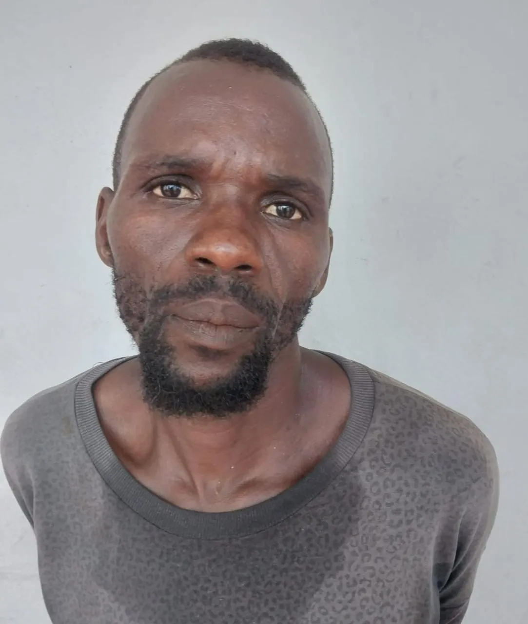 IMG-20251008-WA0029(1)