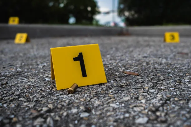 istockphoto-1617661198-612x612